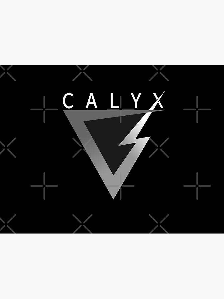 login CalyxOS