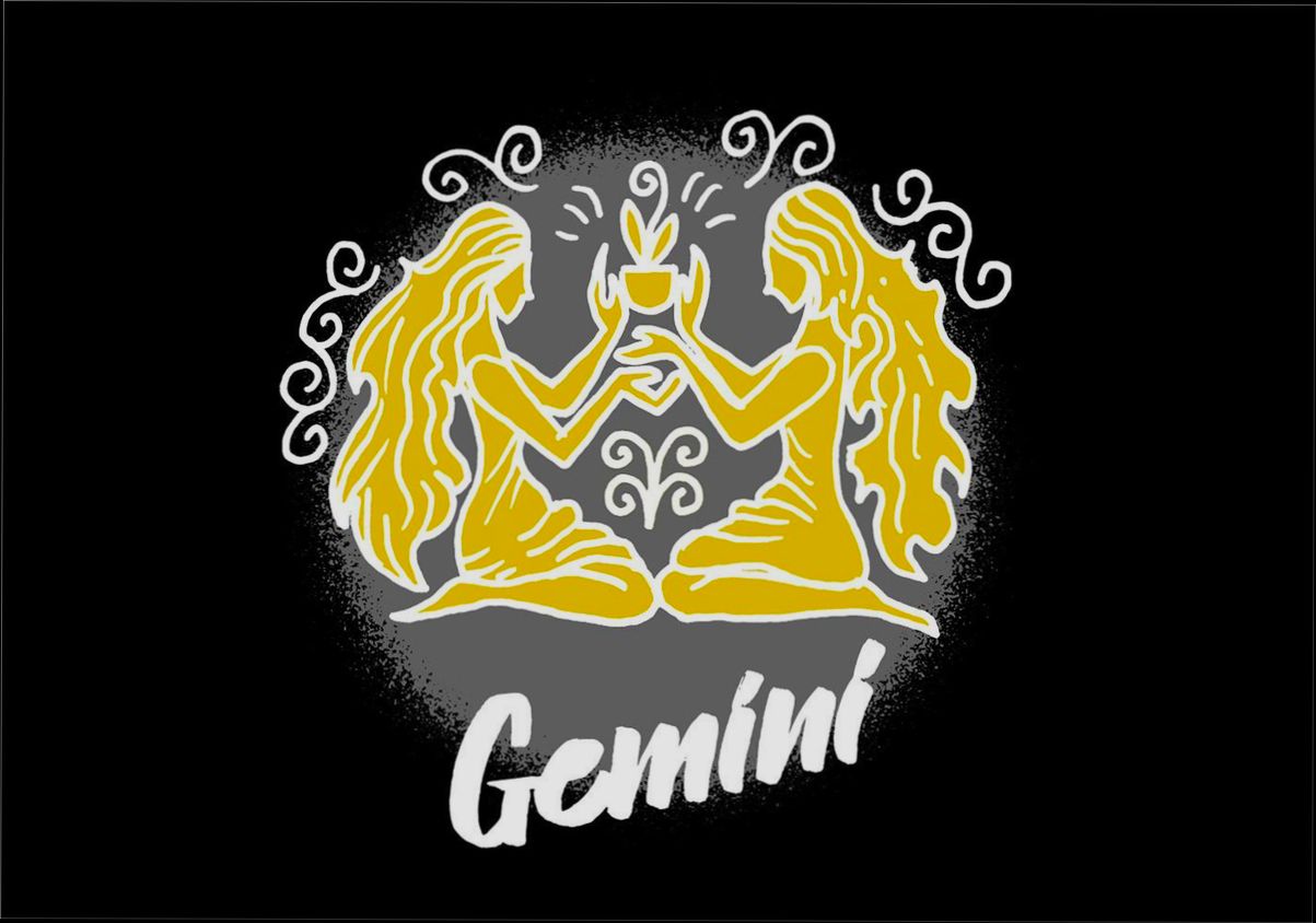 login Gemini