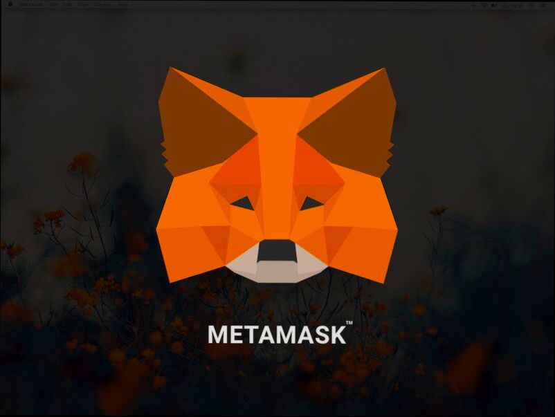 login MetaMask