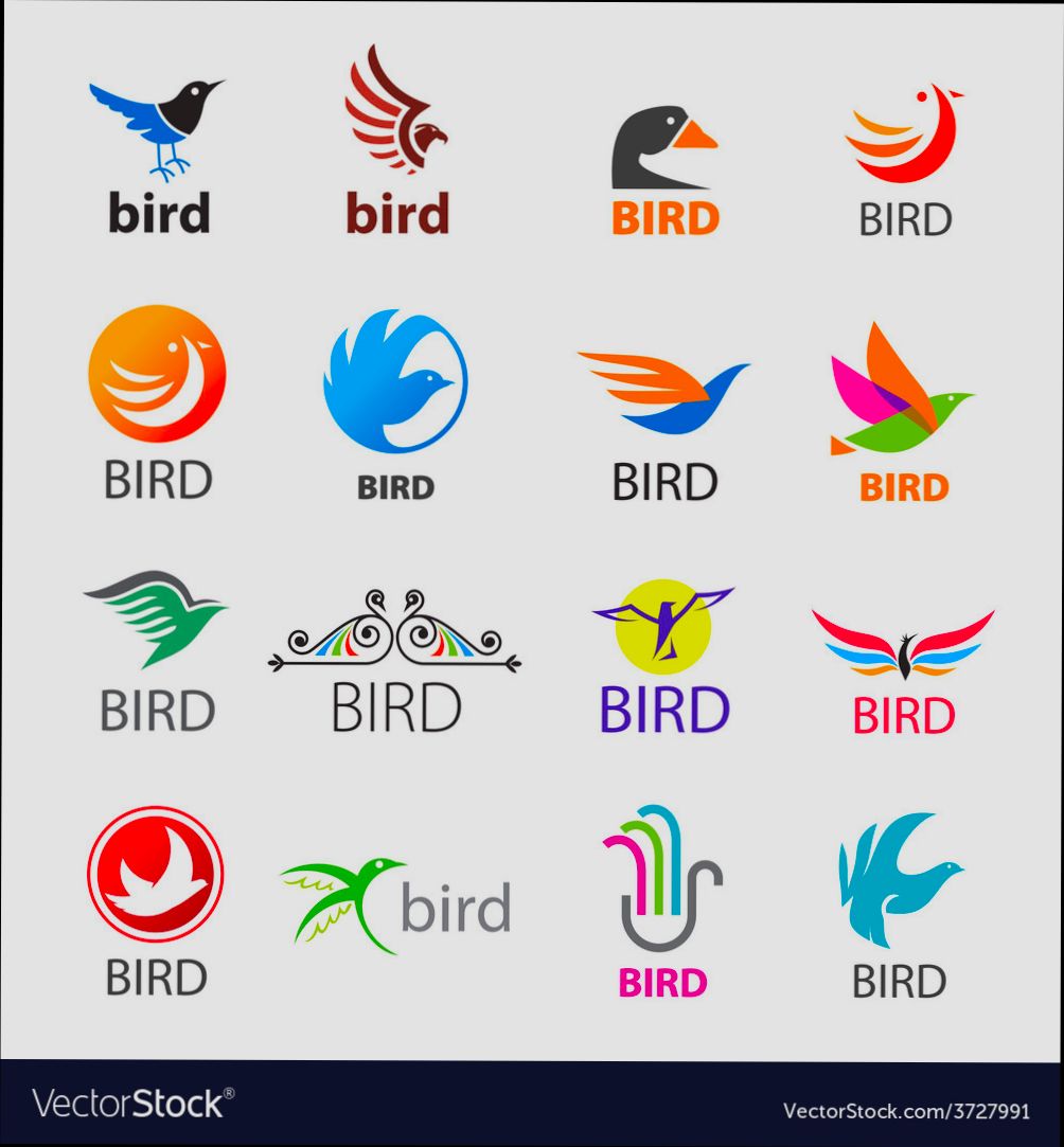 login Bird