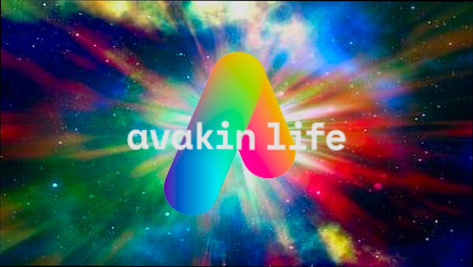 login Avakin Life