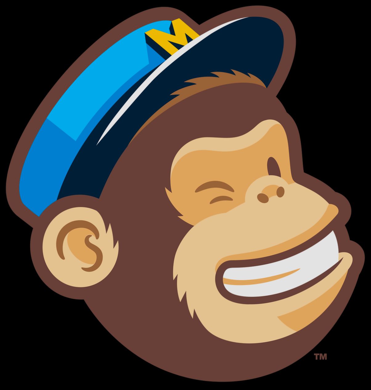 login Mailchimp