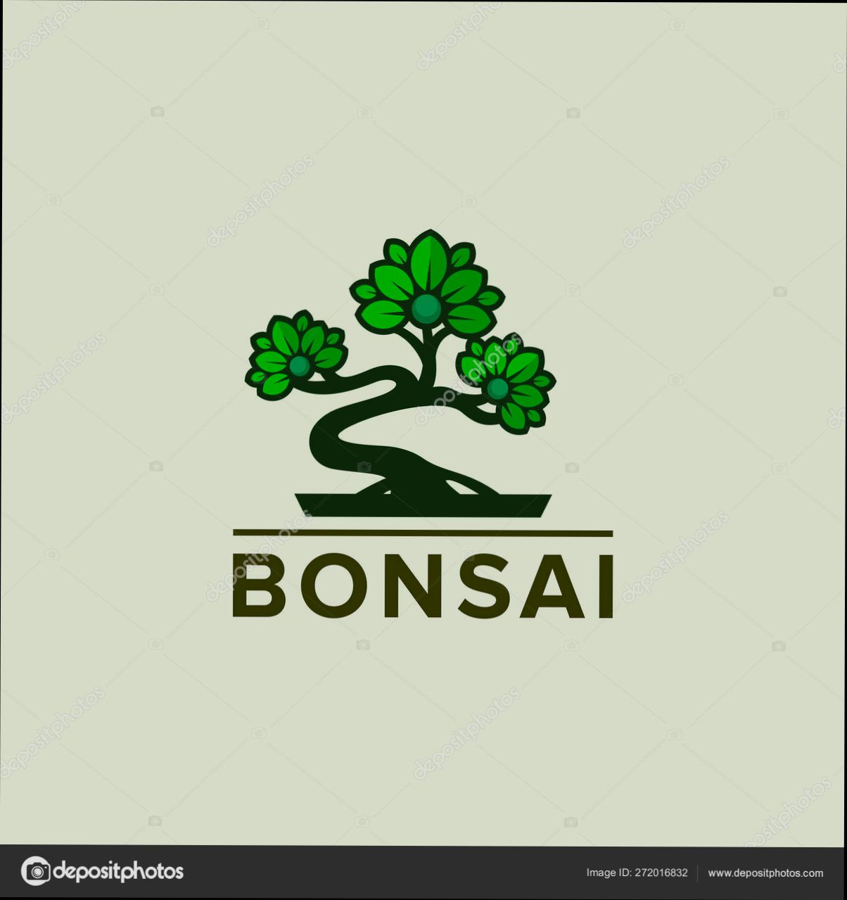 login Bonsai