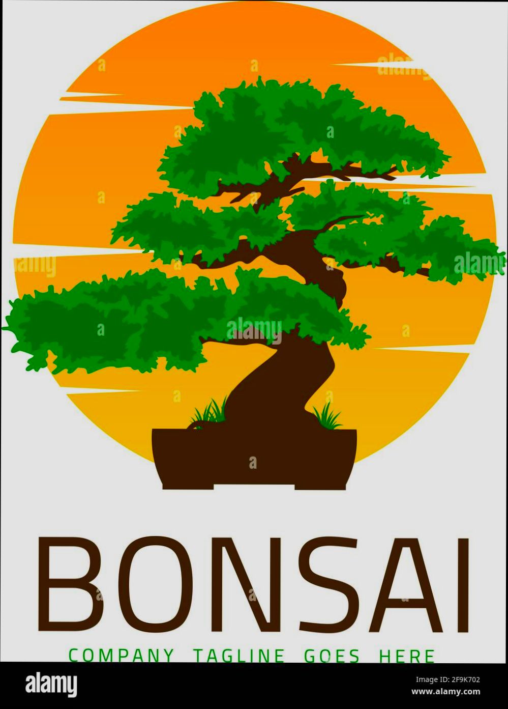 login Bonsai